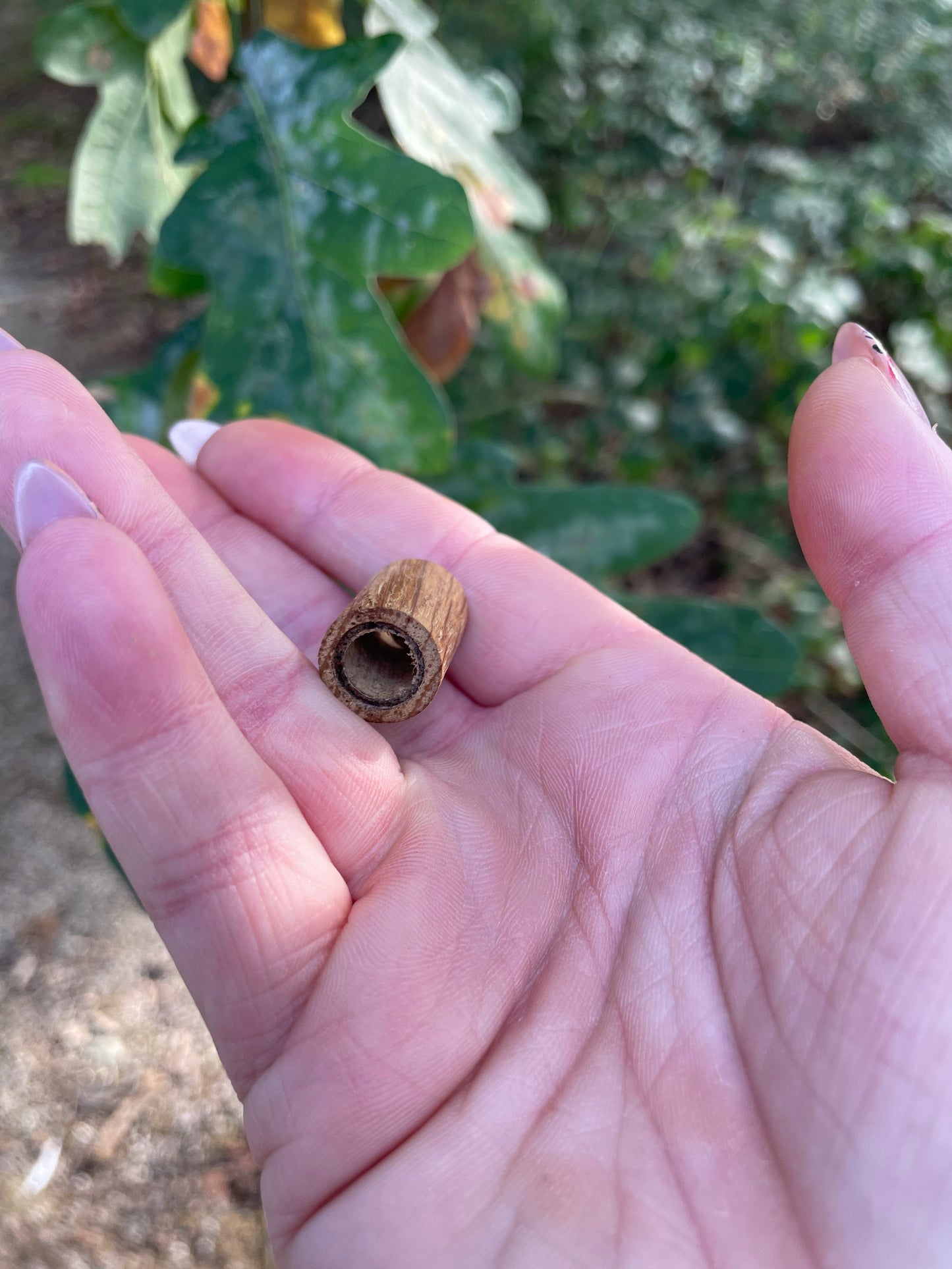 Original Oak Dreadlock Bead