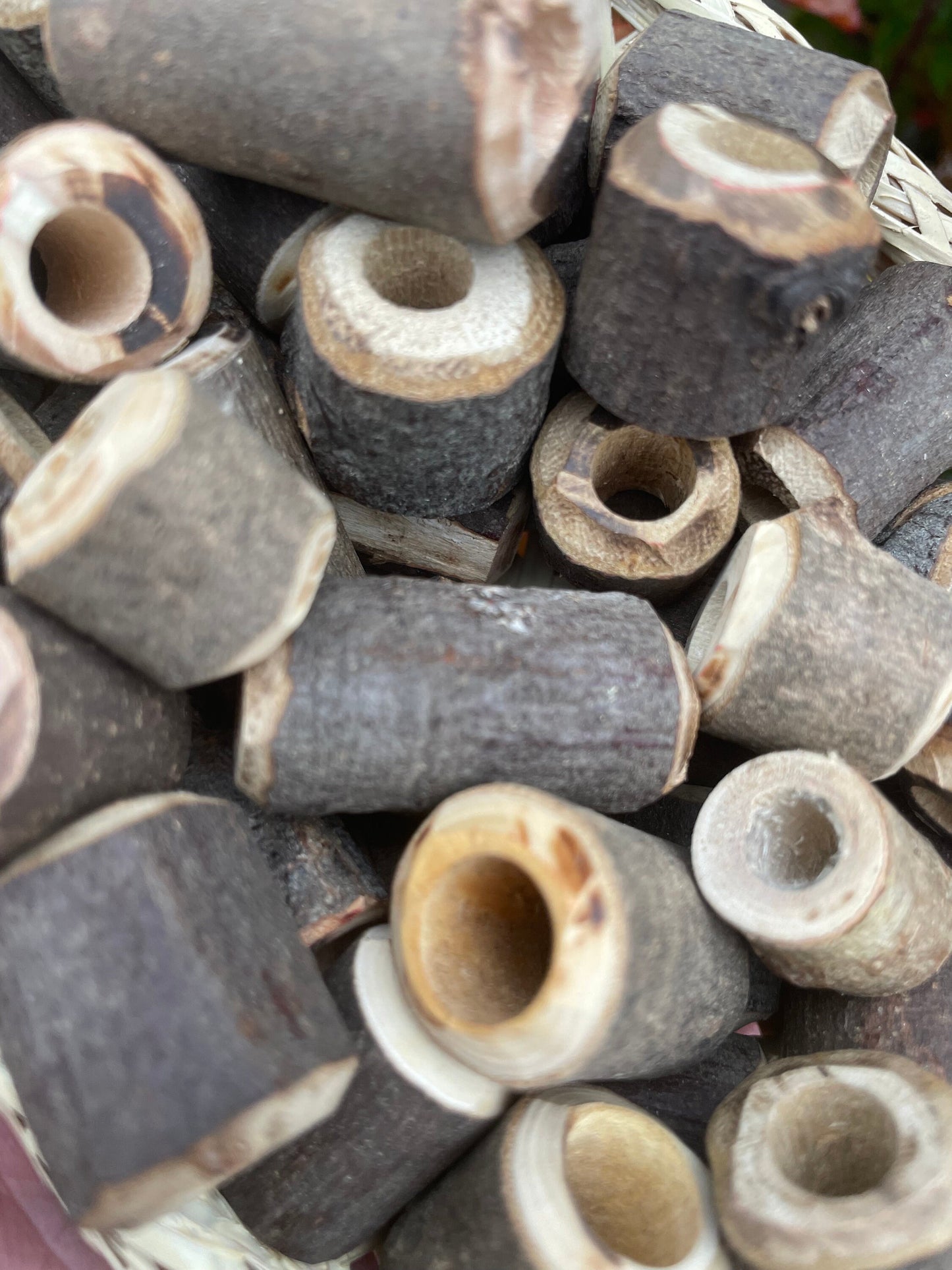 Chunky Branch Beads