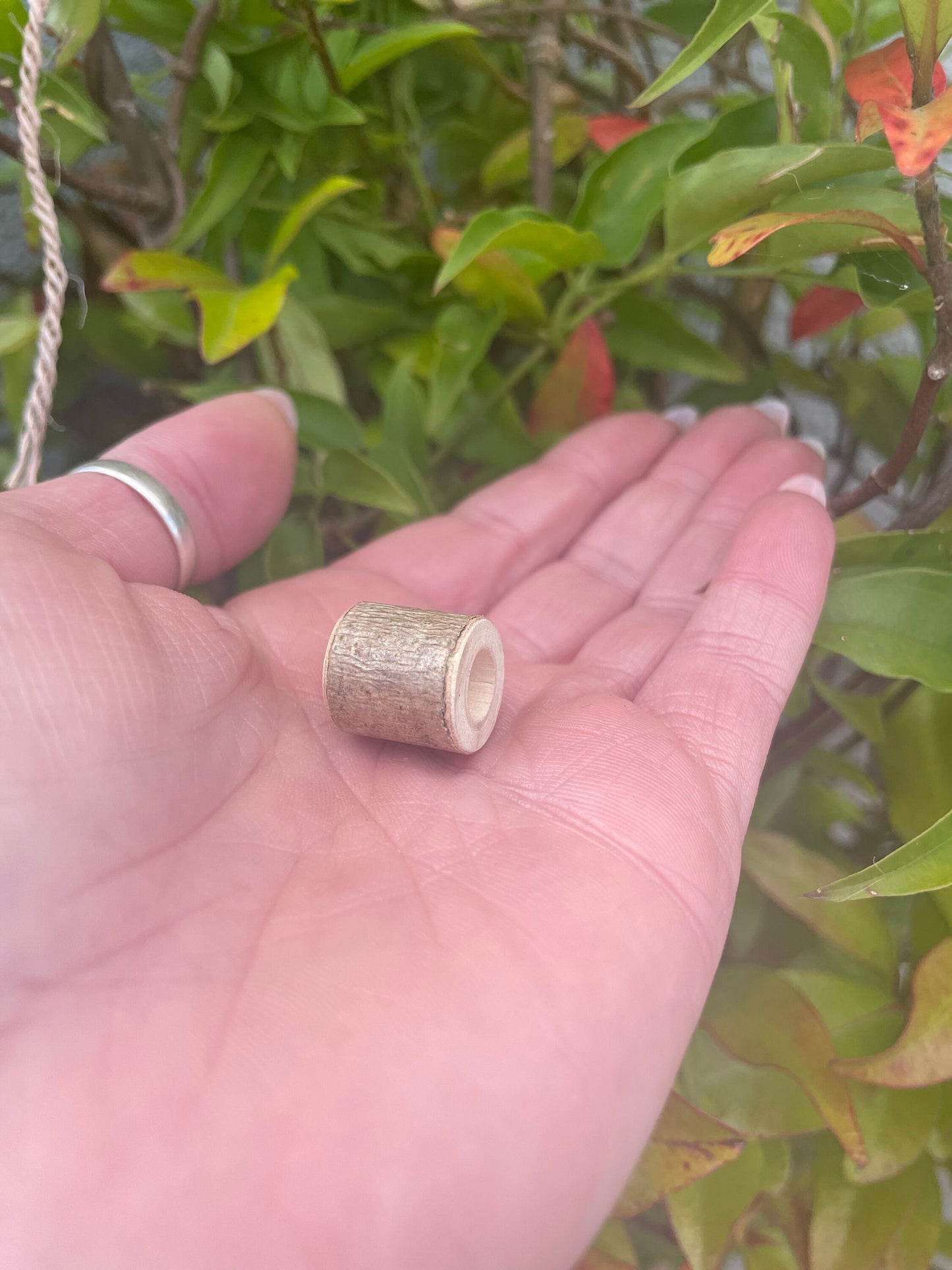 Hazel wood Branch Bead