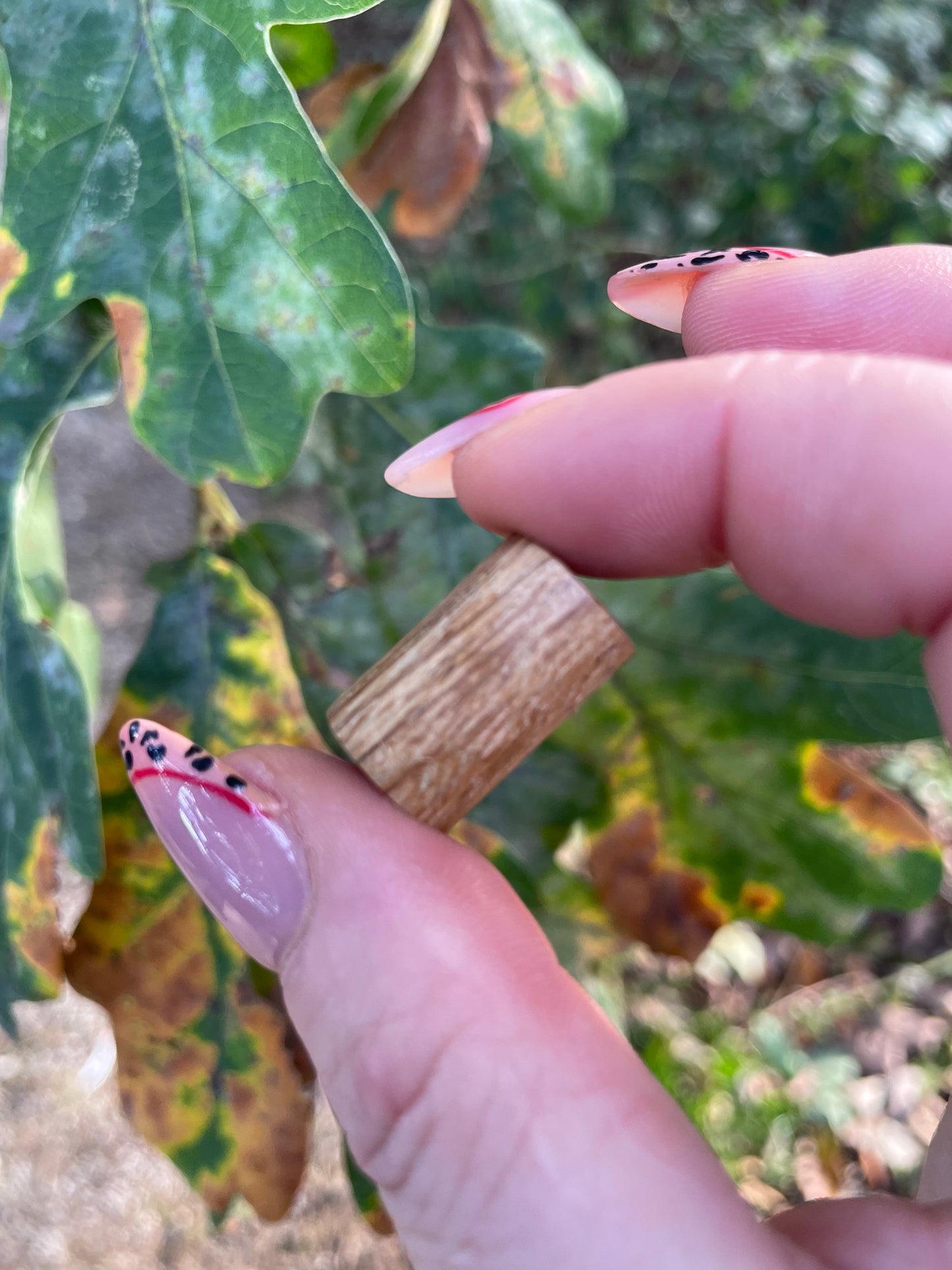 Original Oak Dreadlock Bead