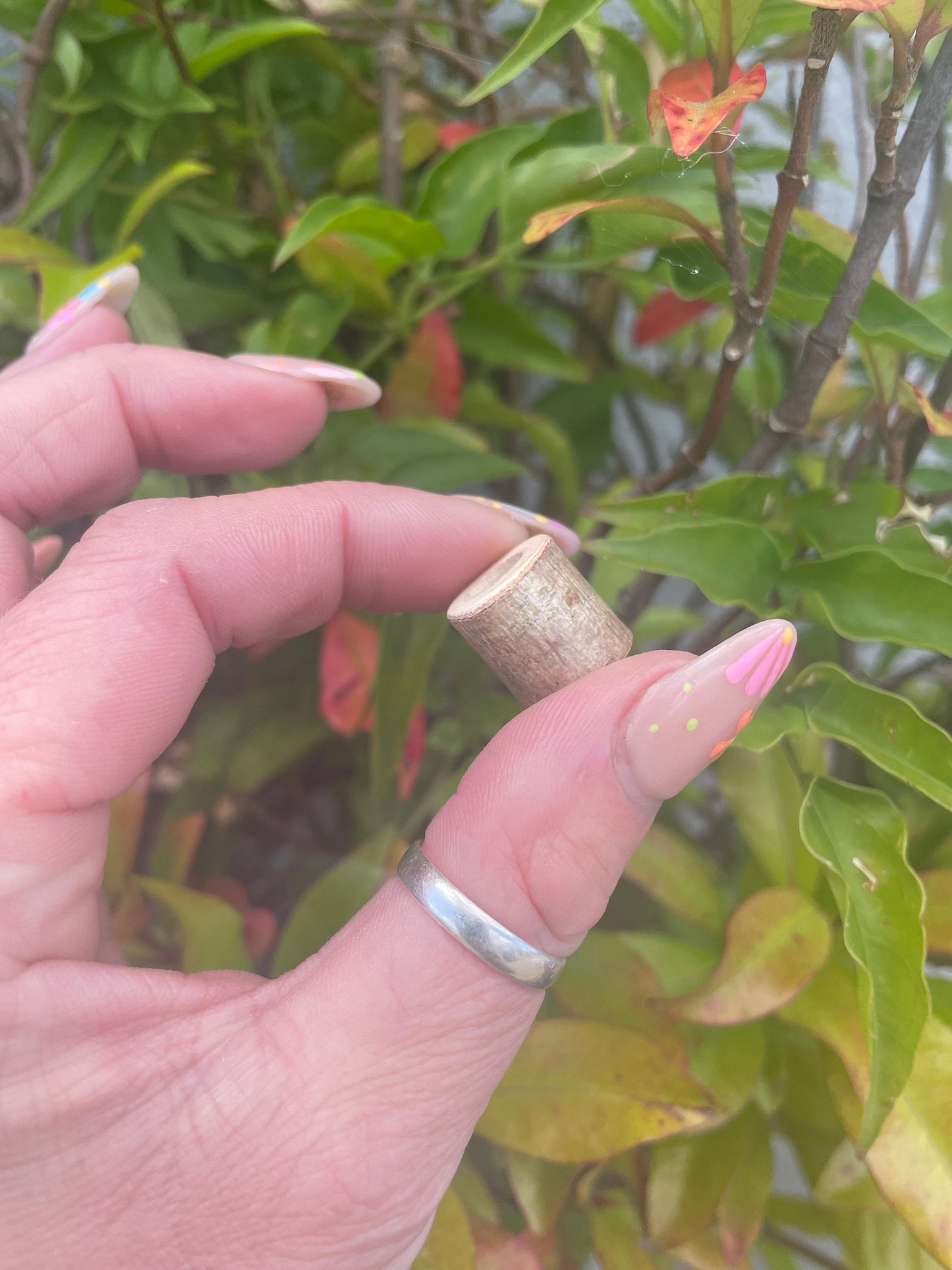 Hazel wood Branch Bead