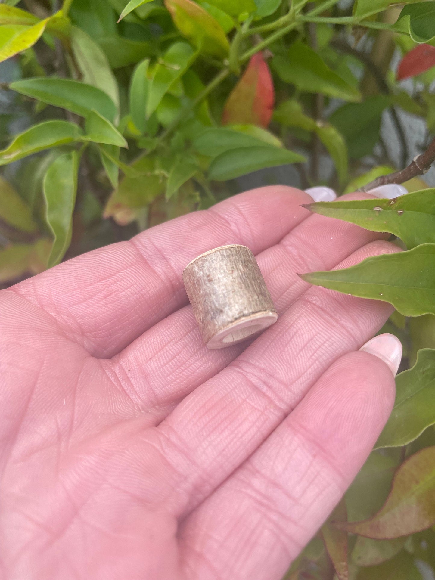 Hazel wood Branch Bead