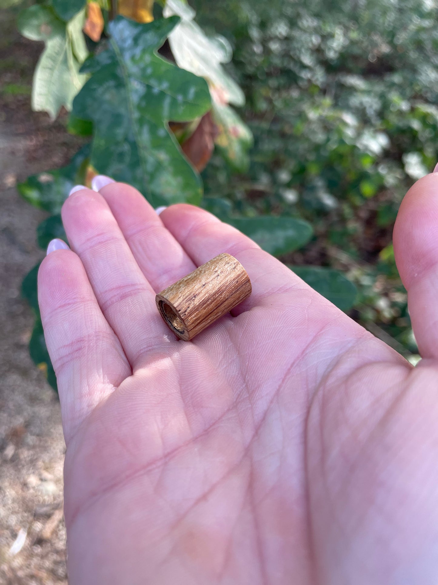 Original Oak Dreadlock Bead