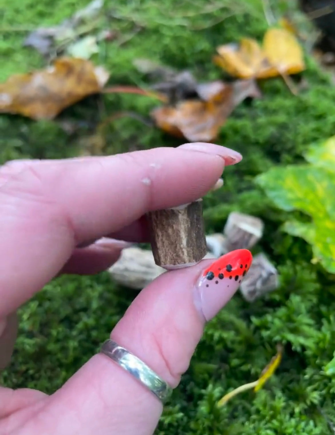 Antler Dreadlock Bead