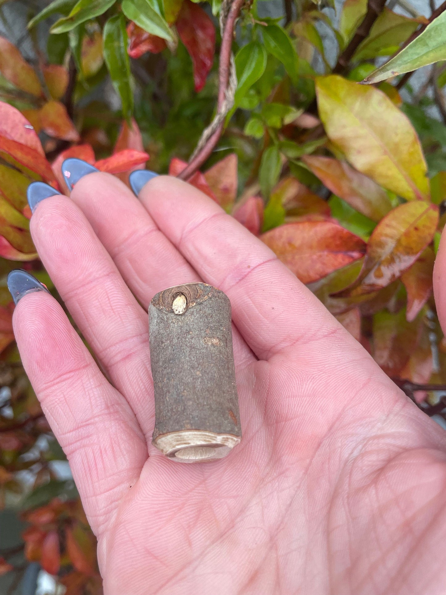 Chunky Branch Beads