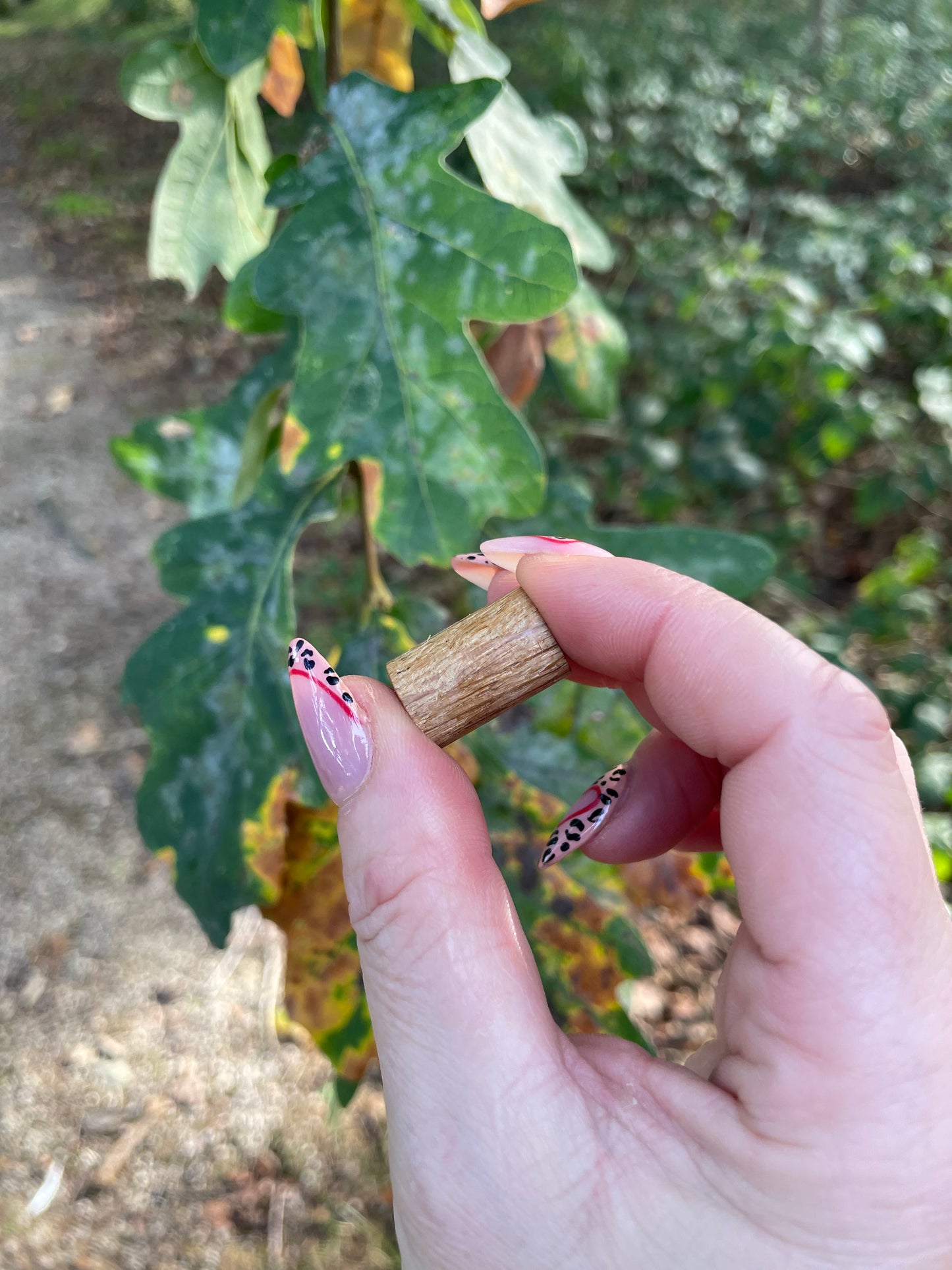 Original Oak Dreadlock Bead