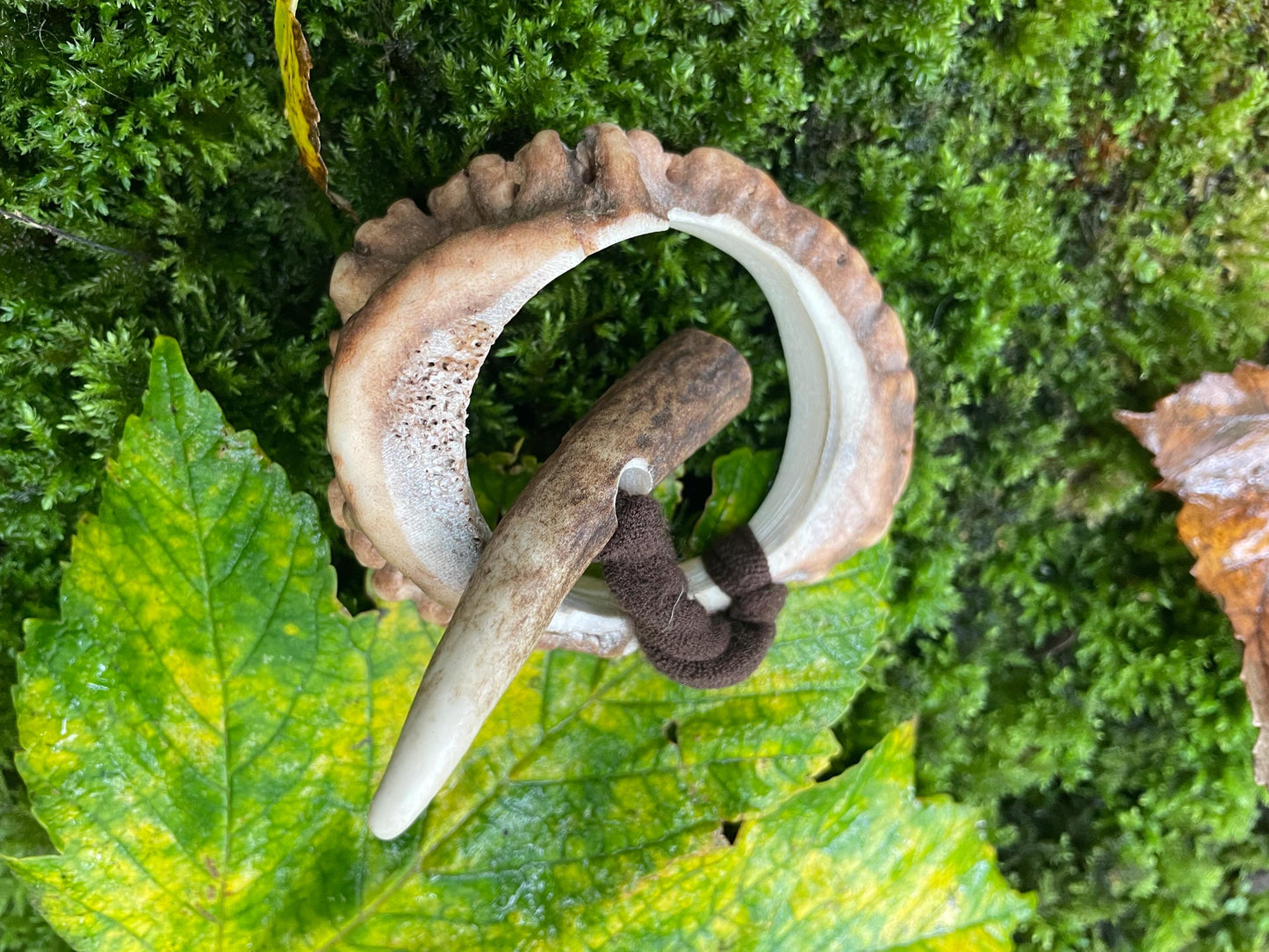 Antler Burr Toggle Tie Hair Accessory