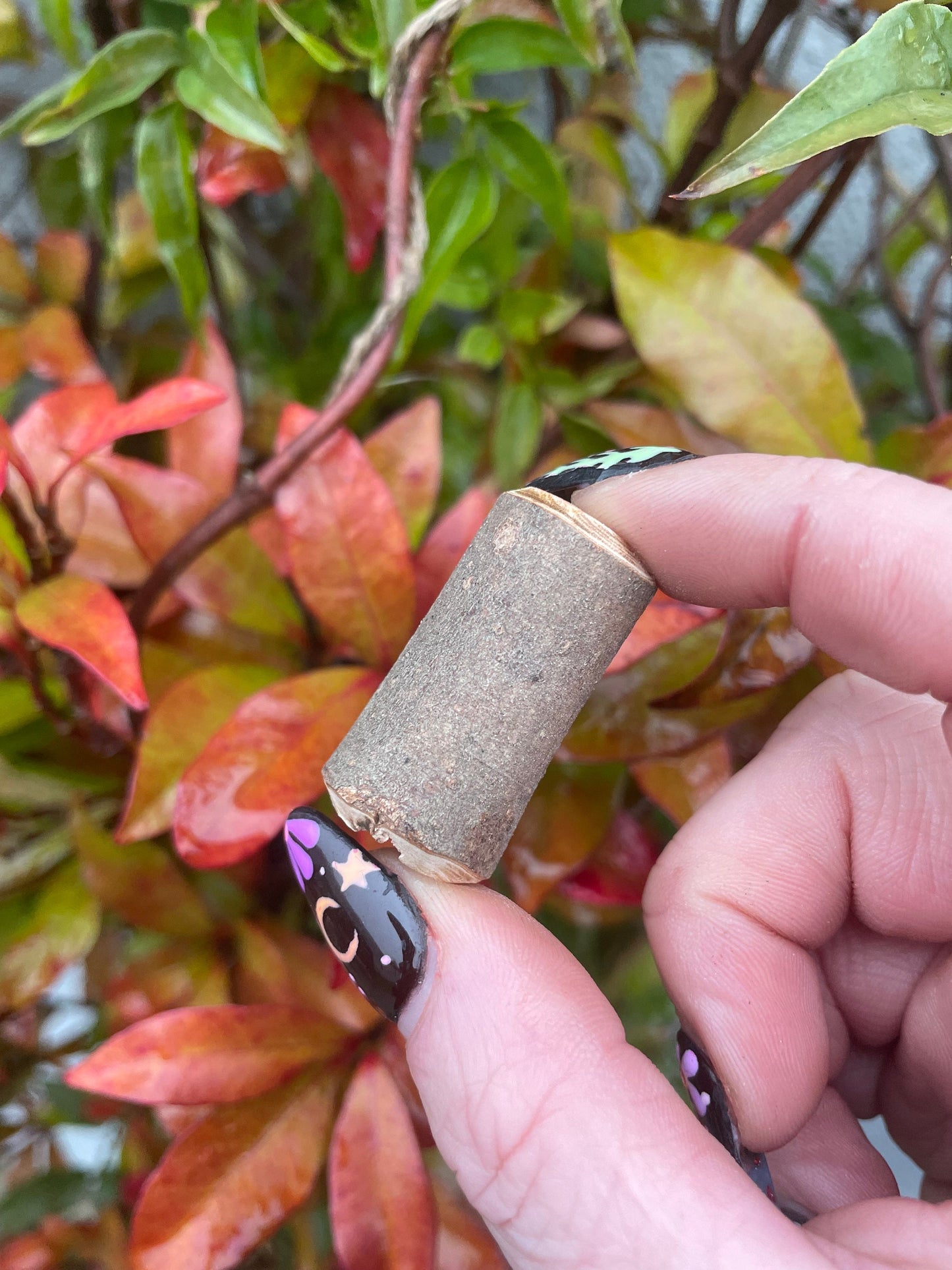 Chunky Branch Beads