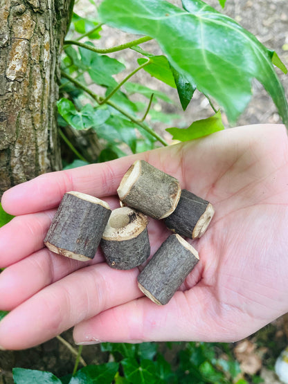 Chunky Branch Beads