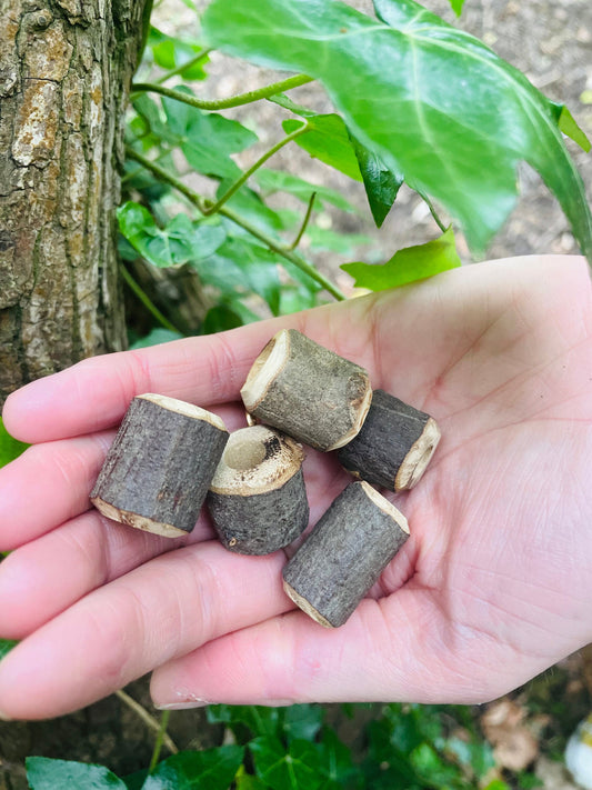 Chunky Branch Beads