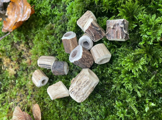 Antler Dreadlock Bead