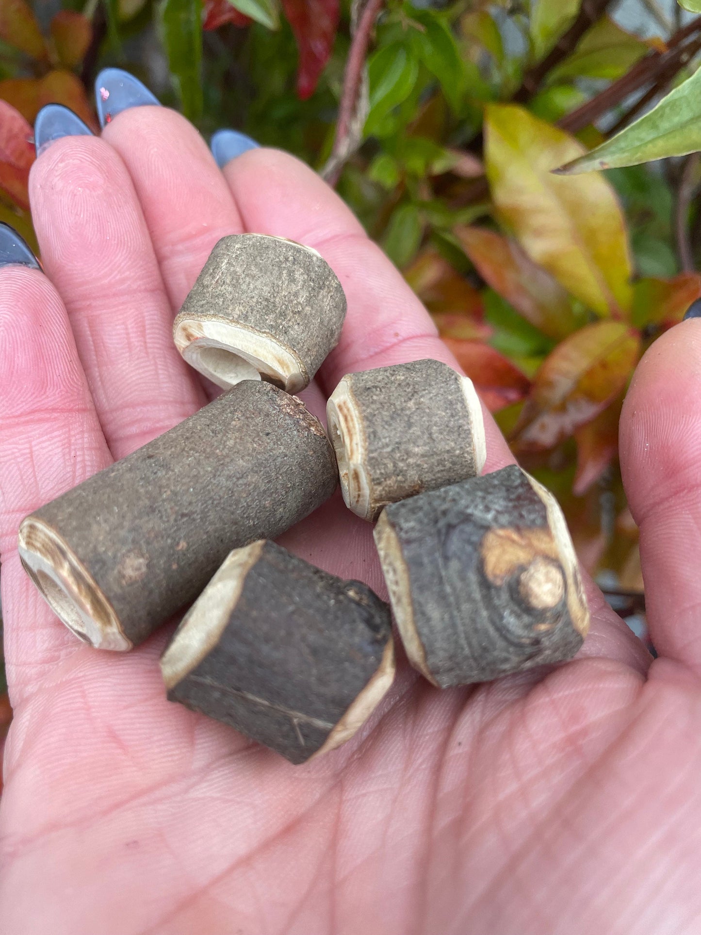 Chunky Branch Beads
